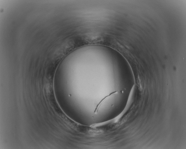 X0000070880515200606231346