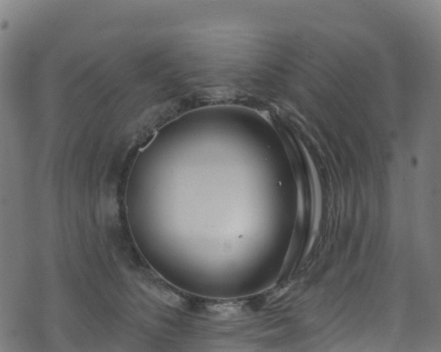 X0000070880516200606231346