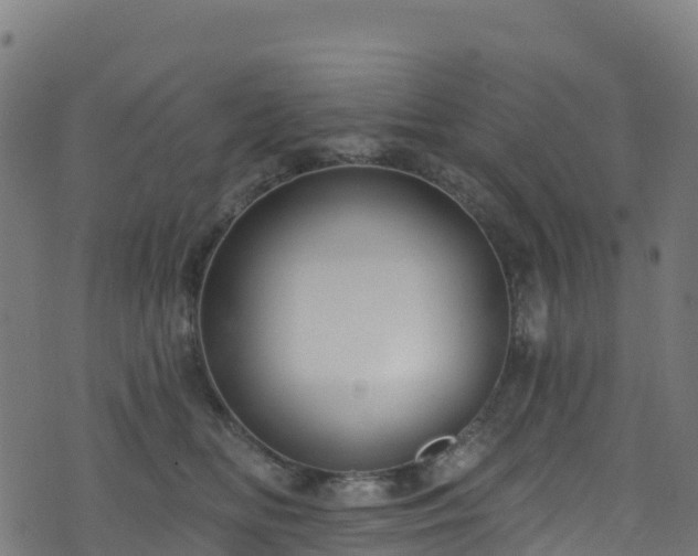 X0000070880518200606231346