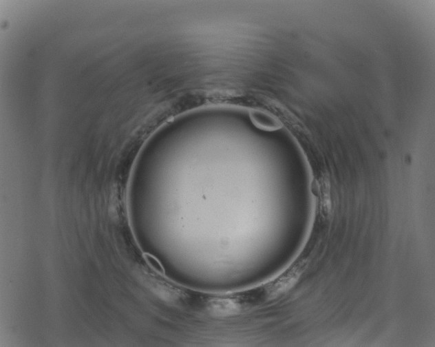 X0000070880519200606231346