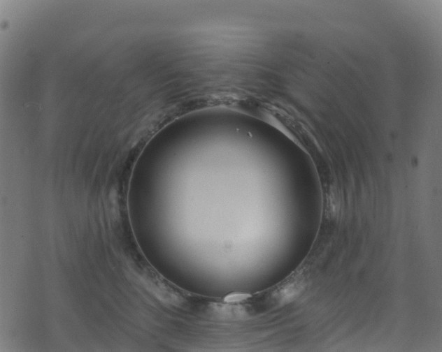 X0000070880520200606231346