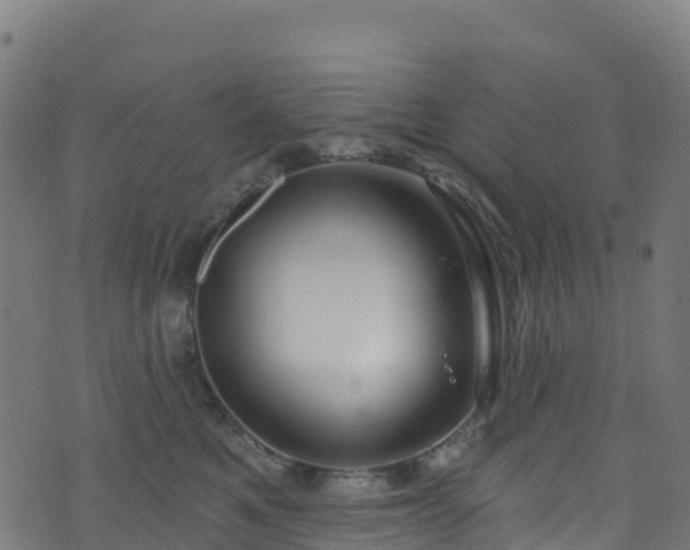 X0000070880521200606231346