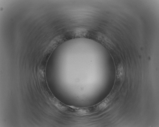 X0000070880522200606231346