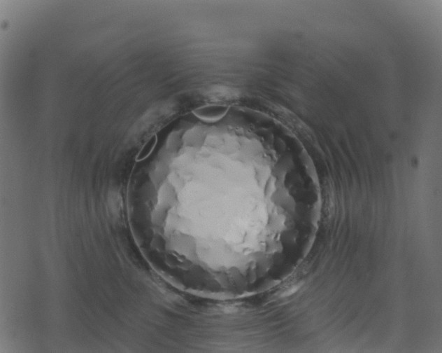 X0000070880523200606231346