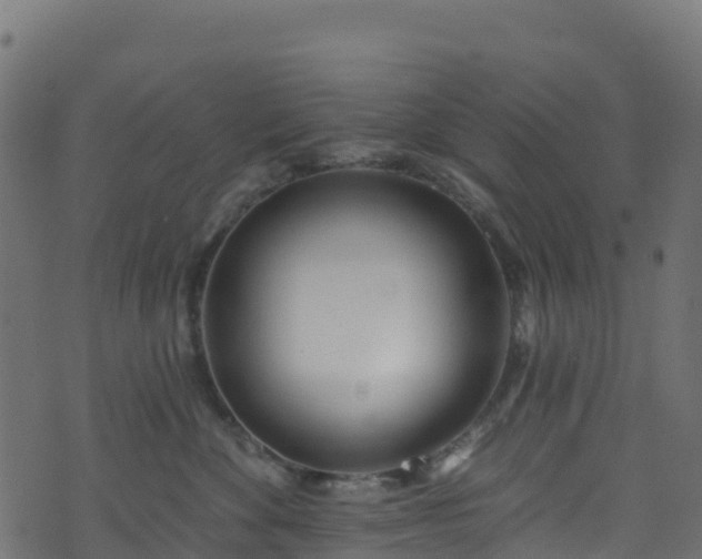 X0000070880524200606231346