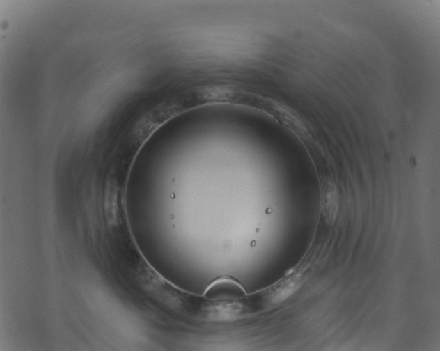 X0000070880525200606231346