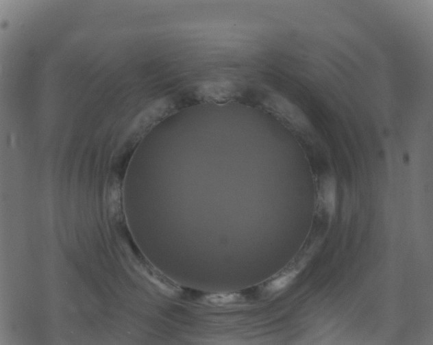 X0000070880526200606231346