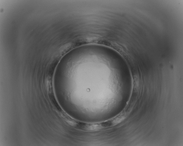 X0000070880527200606231346