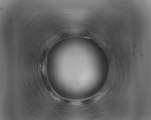 X0000070880528200606231346