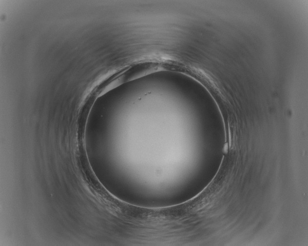 X0000070880531200606231345