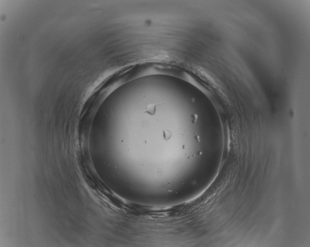 X0000070880532200606231345