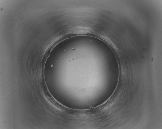 X0000070880533200606231345