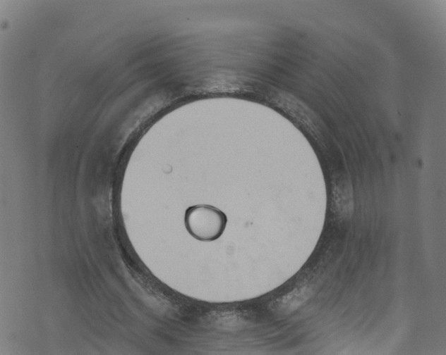 X0000070880534200606231345