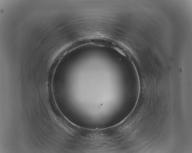 X0000070880535200606231345