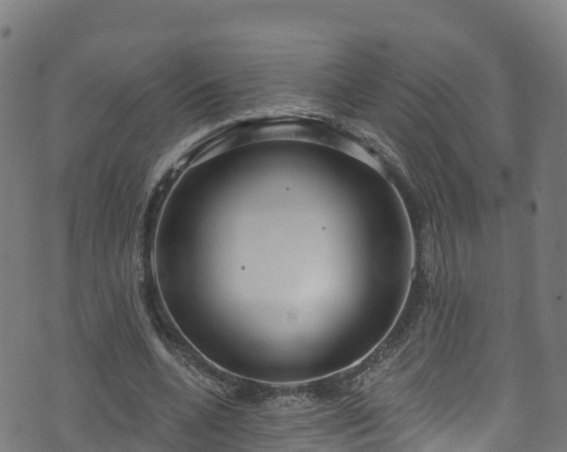 X0000070880536200606231345