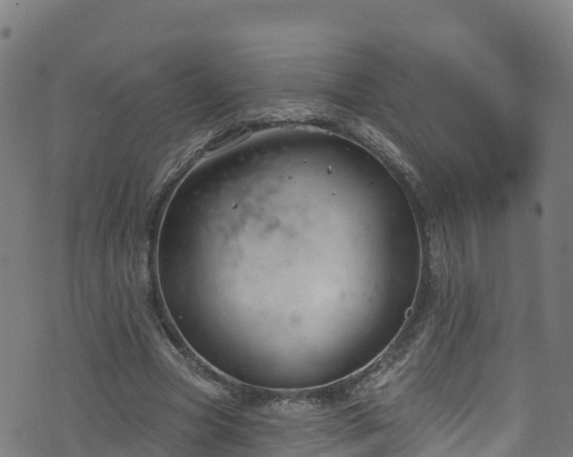 X0000070880537200606231345