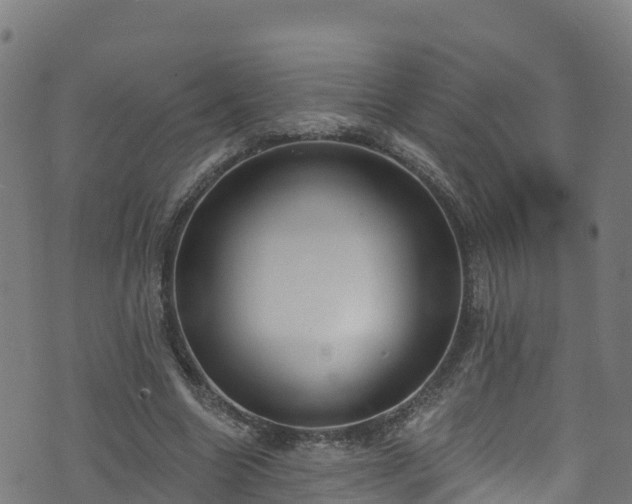 X0000070880538200606231345