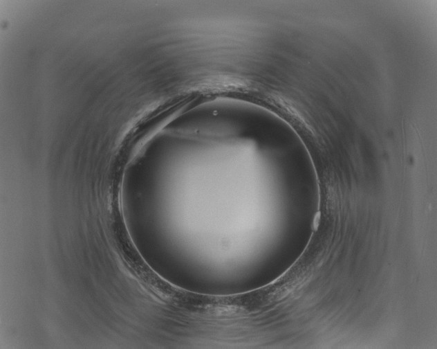 X0000070880539200606231345