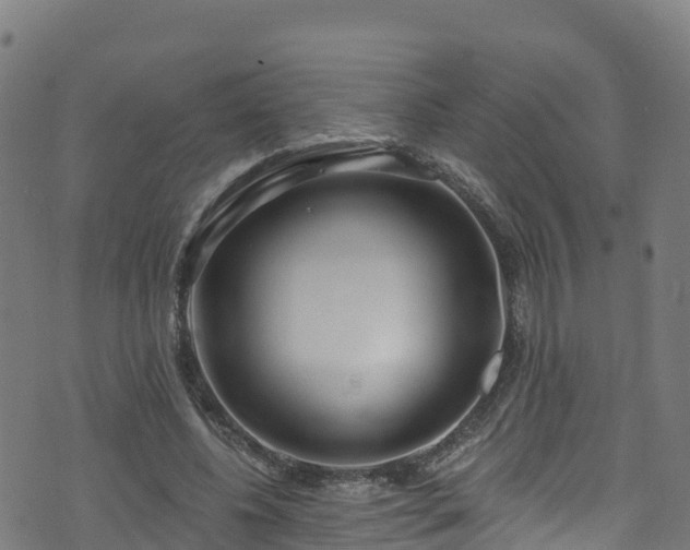 X0000070880540200606231345