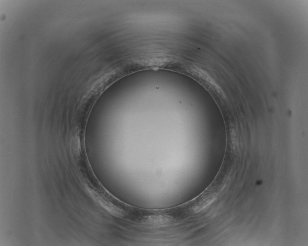 X0000070880541200606231345