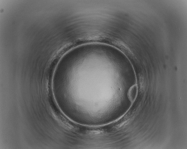 X0000070880542200606231345