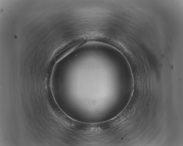 X0000070880543200606231345