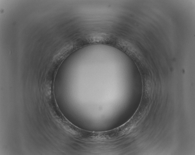 X0000070880545200606231345