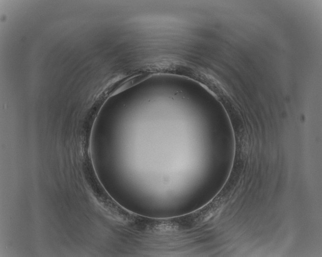 X0000070880546200606231345