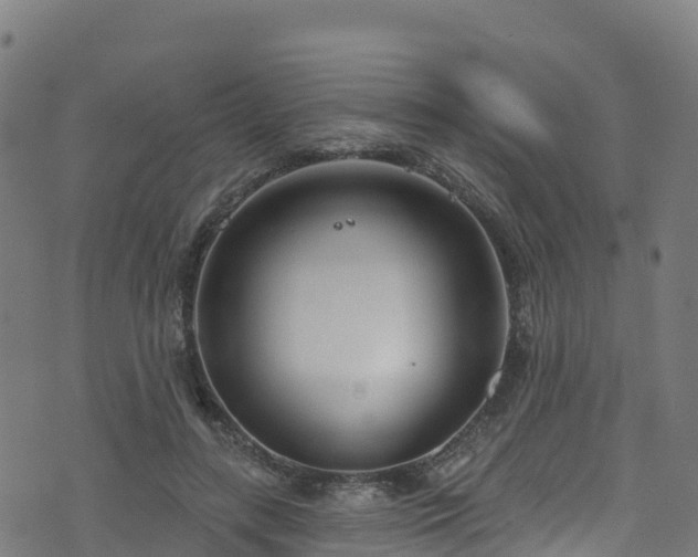 X0000070880547200606231345