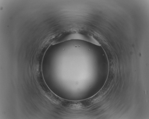 X0000070880548200606231345