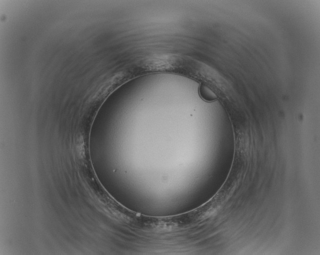 X0000070880549200606231345