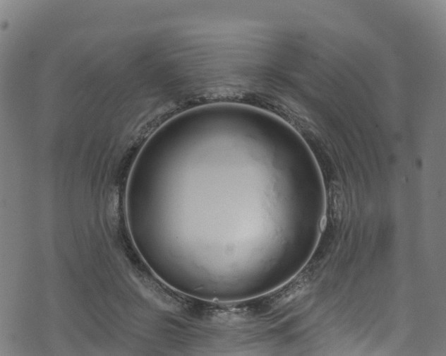 X0000070880550200606231345