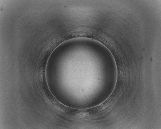 X0000070880551200606231345