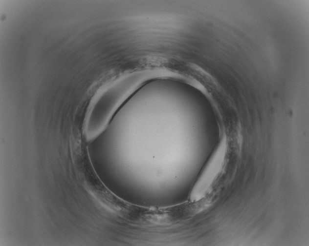 X0000070880552200606231345