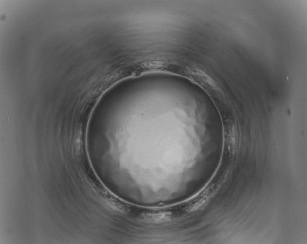 X0000070880553200606231345