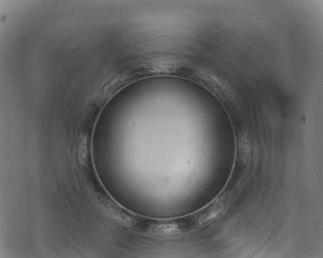 X0000070880554200606231345