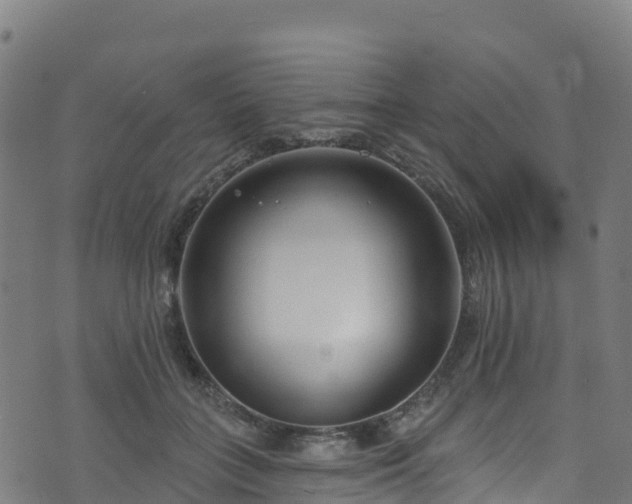 X0000070880555200606231345