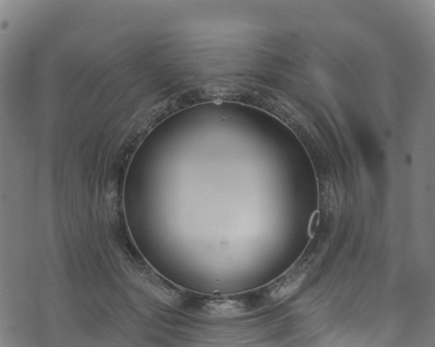 X0000070880557200606231345