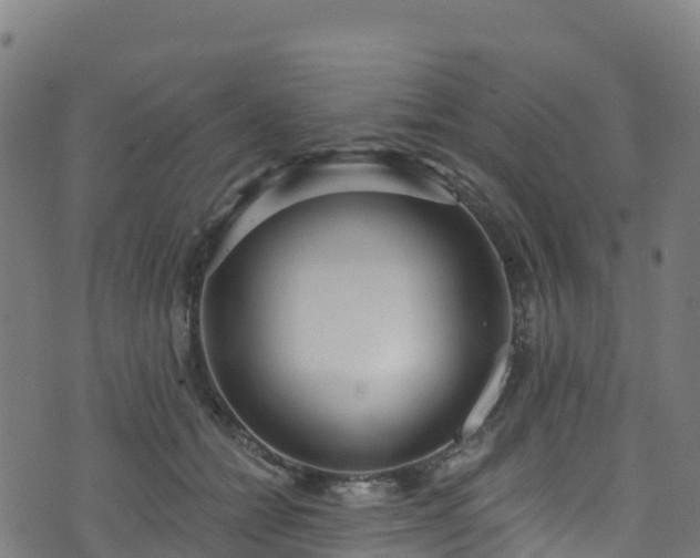 X0000070880558200606231345