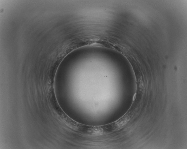 X0000070880559200606231345