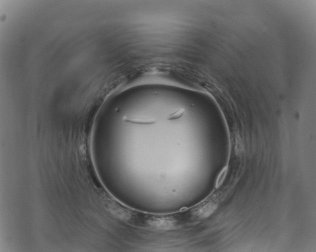 X0000070880561200606231345