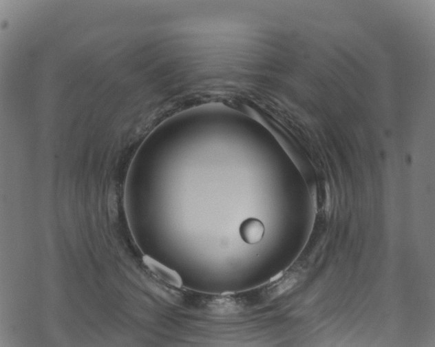 X0000070880562200606231345