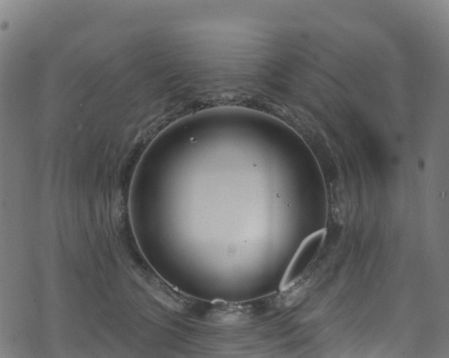 X0000070880563200606231345