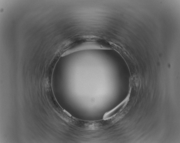 X0000070880564200606231345