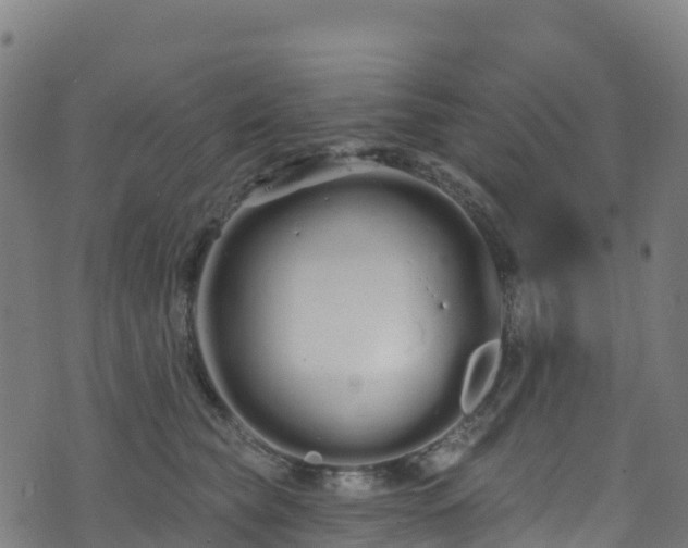 X0000070880565200606231345