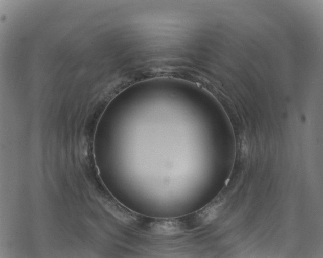 X0000070880567200606231346