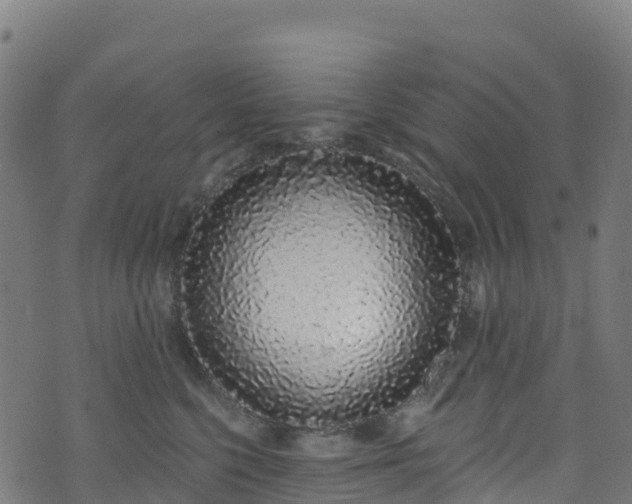 X0000070880568200606231346