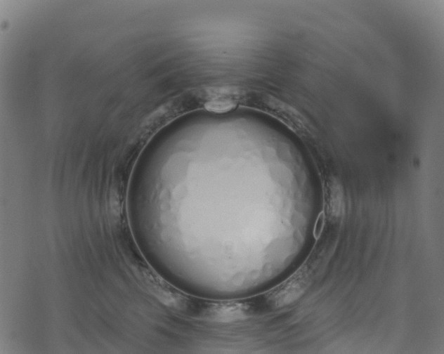 X0000070880569200606231346