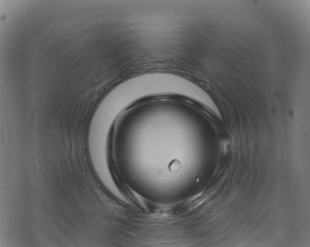 X0000070880570200606231346