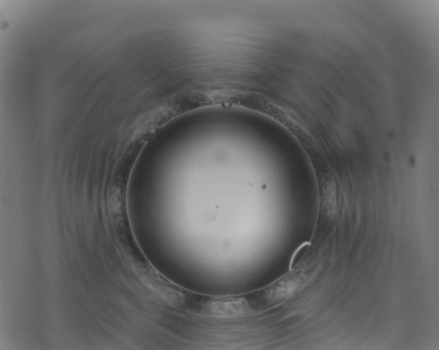 X0000070880571200606231346